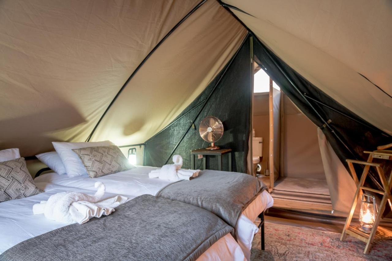 Bundox Explorer Camp โฮดสปรูท ภายนอก รูปภาพ